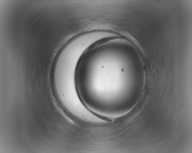 X0000055510581200508121019