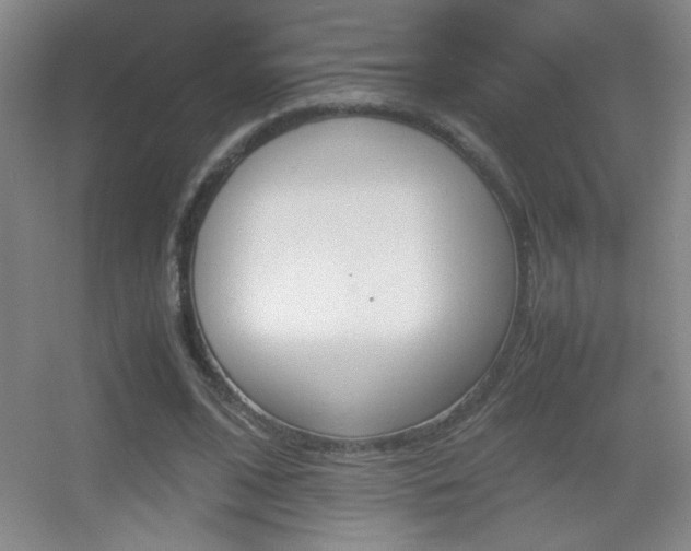 X0000055510584200508121019
