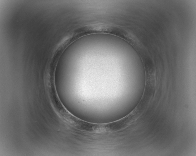 X0000055510587200508121019