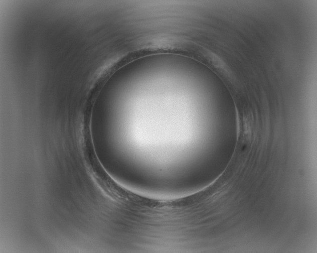 X0000055510588200508121019