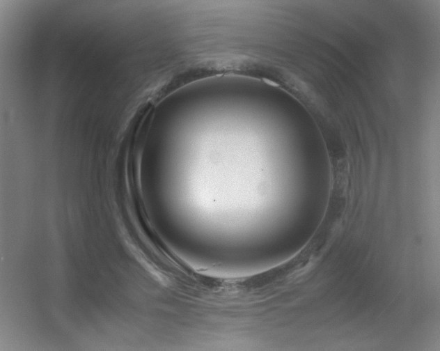 X0000055510589200508121019
