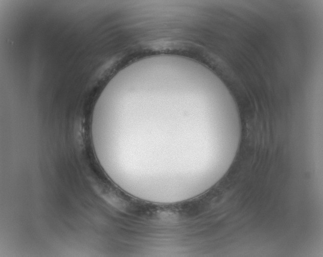 X0000055510592200508121019