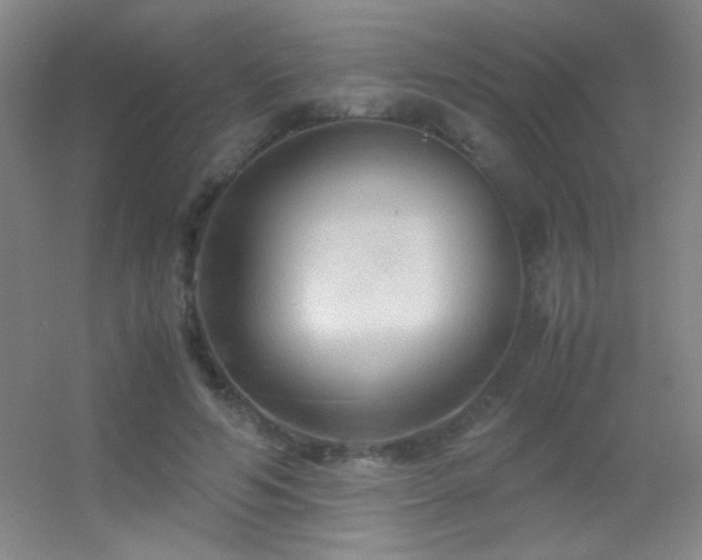 X0000055510594200508121019