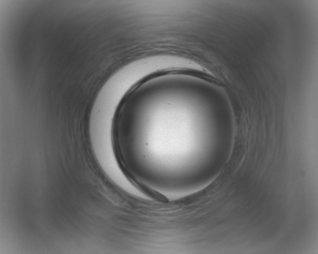 X0000055510601200508121019