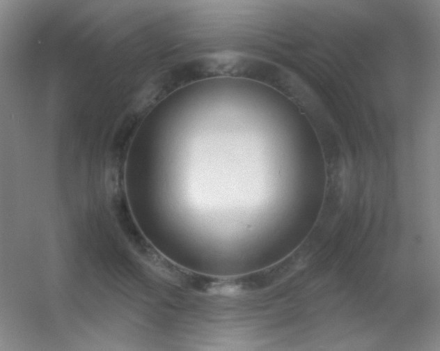 X0000055510602200508121019