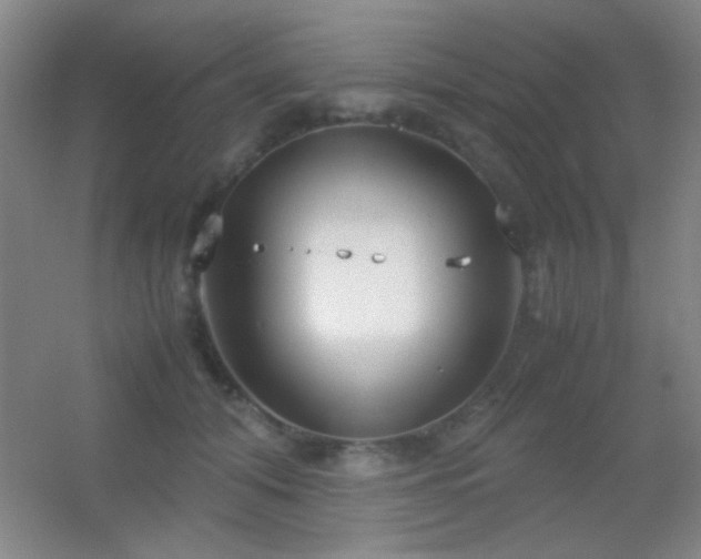X0000055510608200508121019