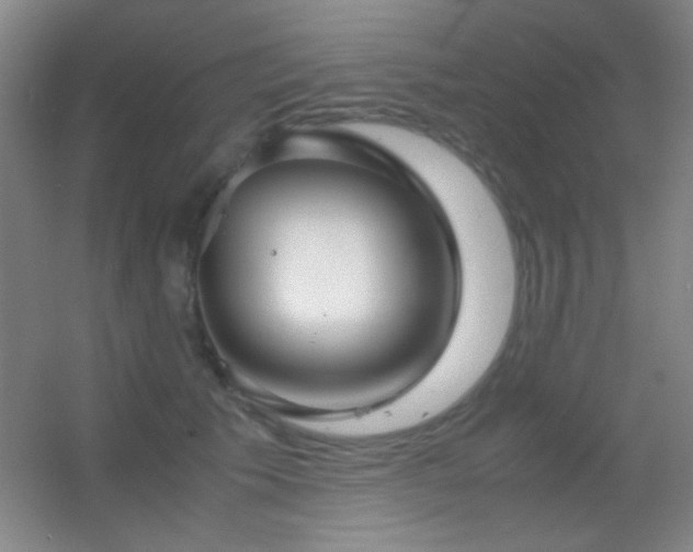 X0000055510609200508121019
