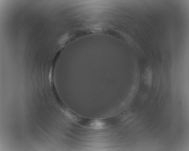 X0000055510610200508121019