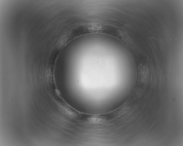 X0000055510614200508121019