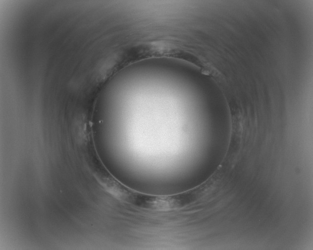 X0000055510615200508121019
