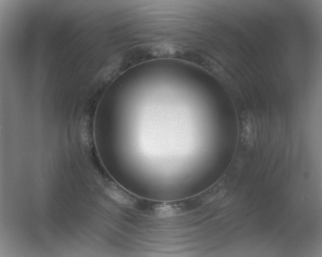 X0000055510616200508121019