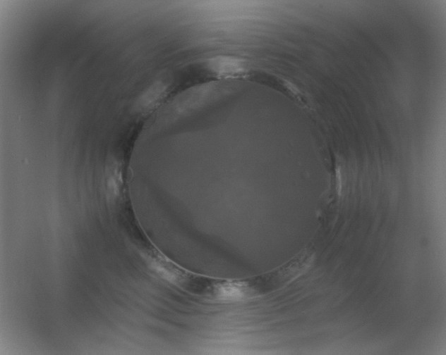 X0000055510618200508121019