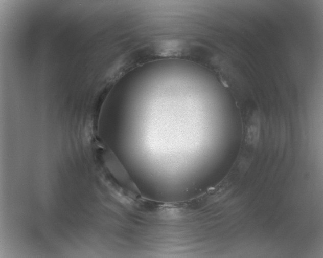 X0000055510620200508121019