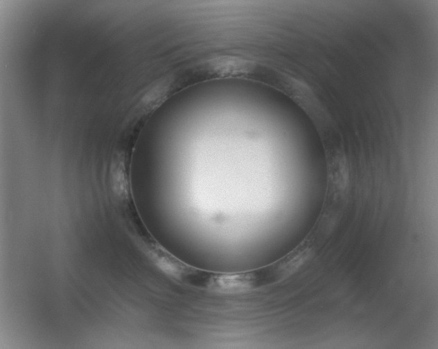 X0000055510622200508121019