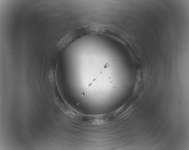 X0000055510623200508121018