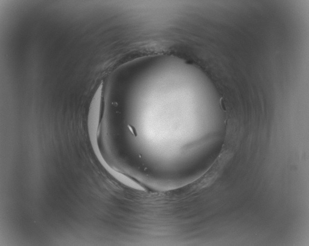 X0000055510624200508121018