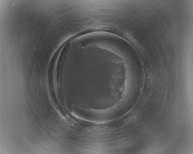 X0000055510626200508121018