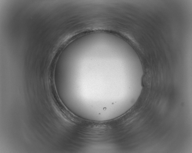 X0000055510631200508121018