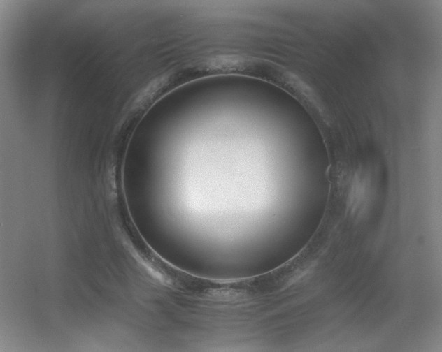 X0000055510633200508121018