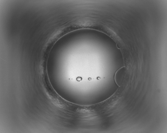 X0000055510635200508121018