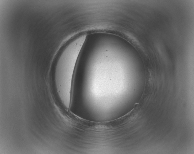 X0000055510636200508121018