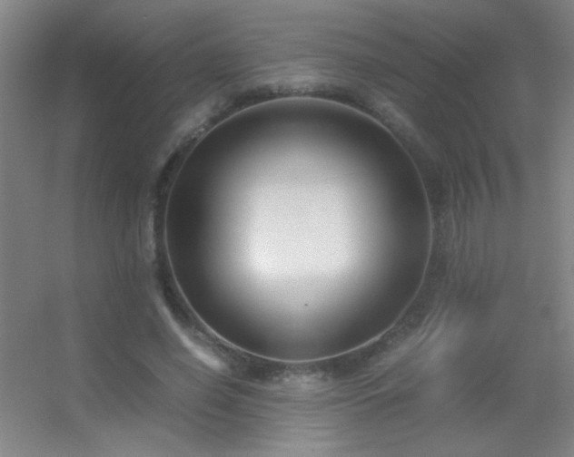 X0000055510638200508121018
