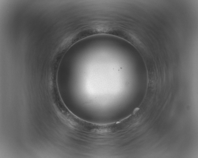 X0000055510639200508121018
