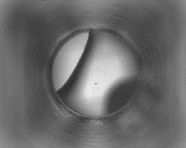 X0000055510640200508121018
