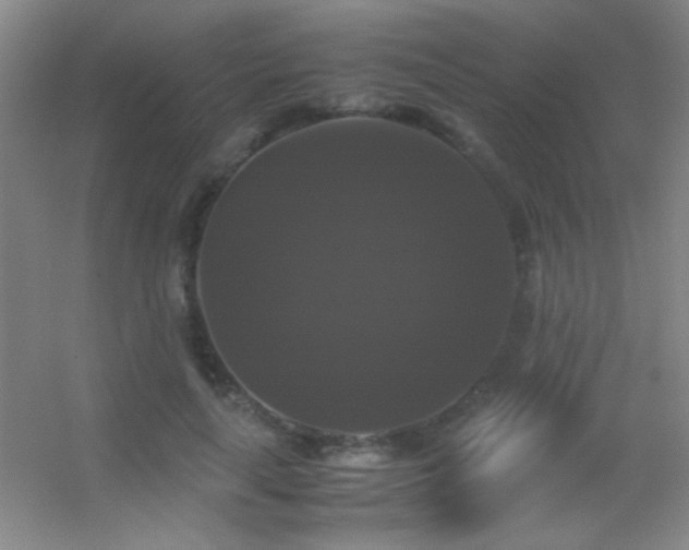 X0000055510643200508121018
