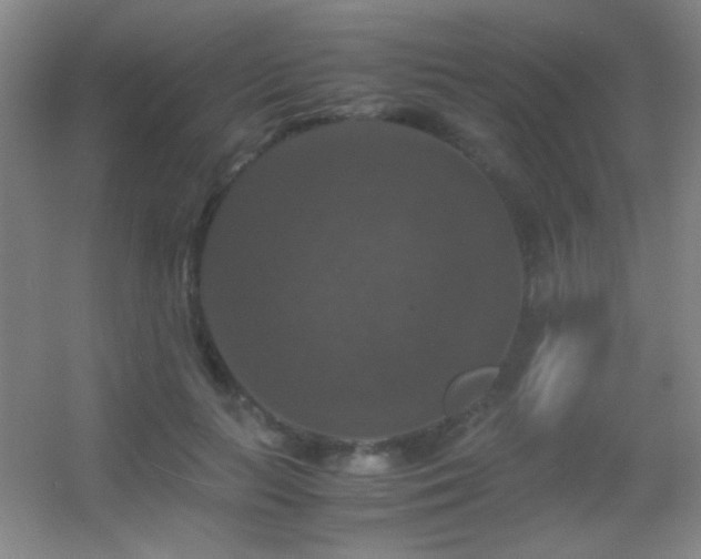 X0000055510647200508121018