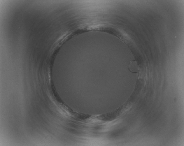 X0000055510648200508121018