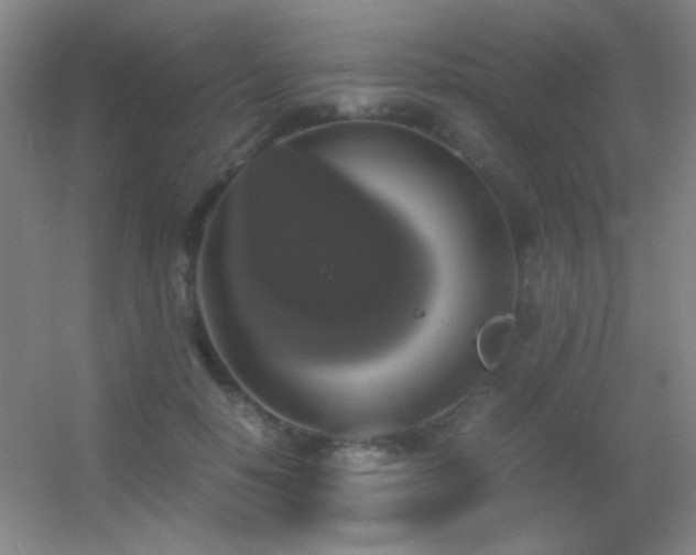 X0000055510650200508121018