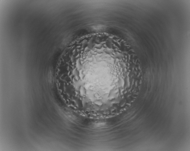 X0000055510651200508121018