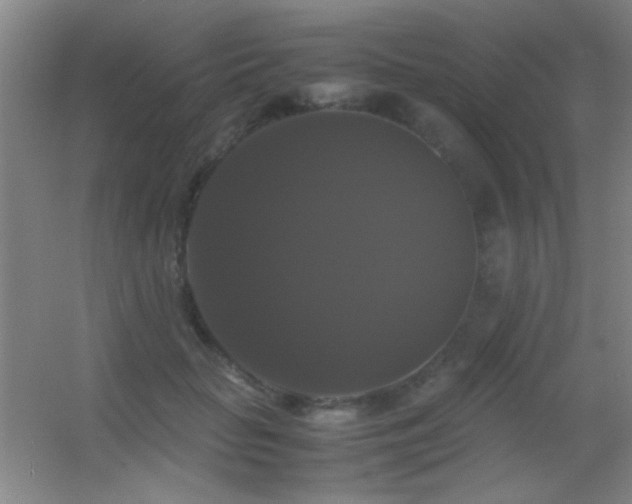 X0000055510653200508121018
