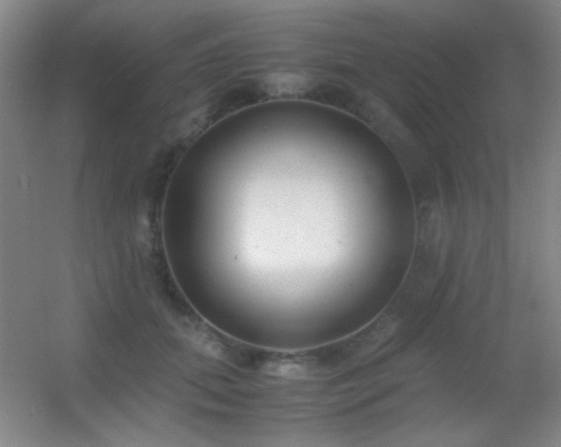 X0000055510655200508121018