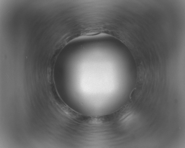 X0000055510656200508121018