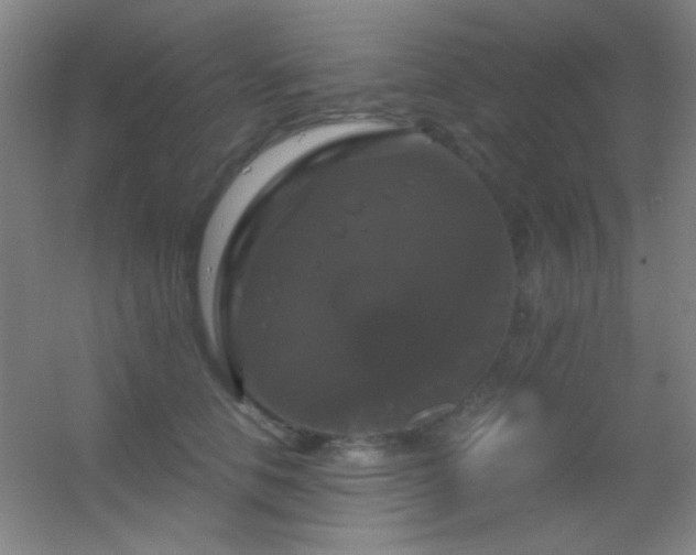 X0000055510658200508121018
