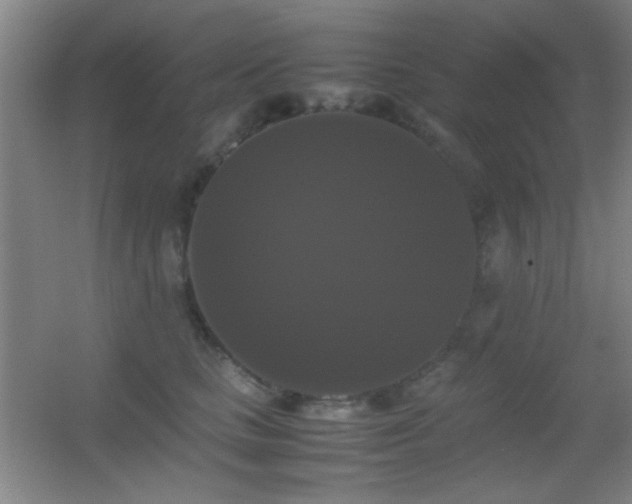 X0000055510661200508121018