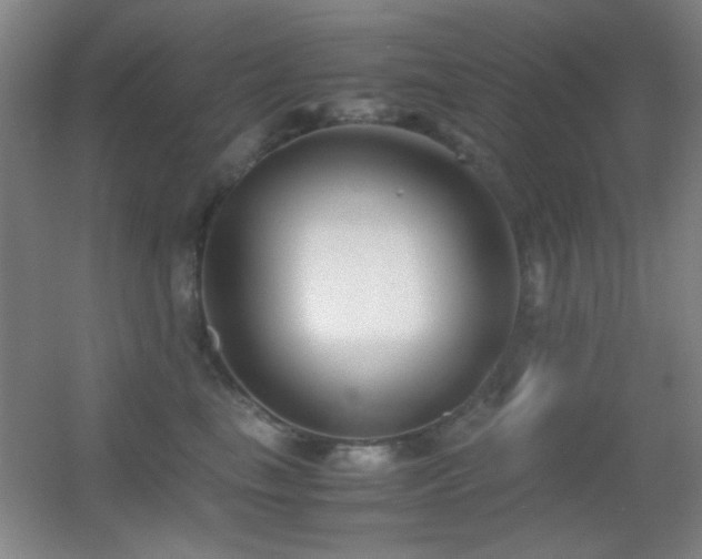 X0000055510665200508121018