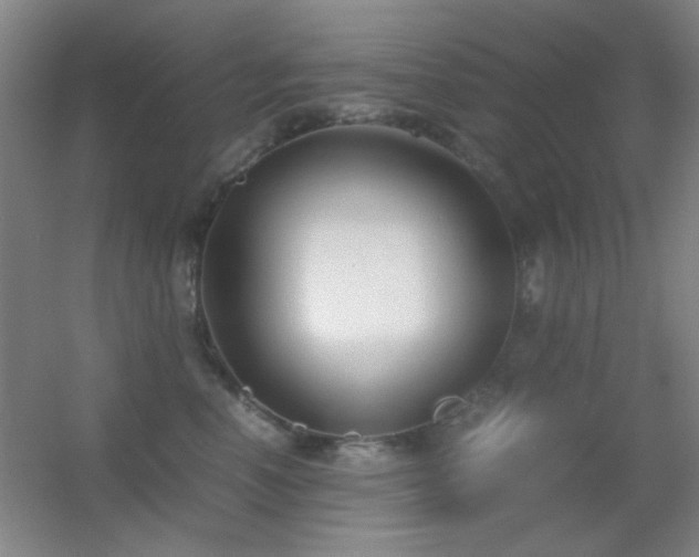 X0000055510666200508121018