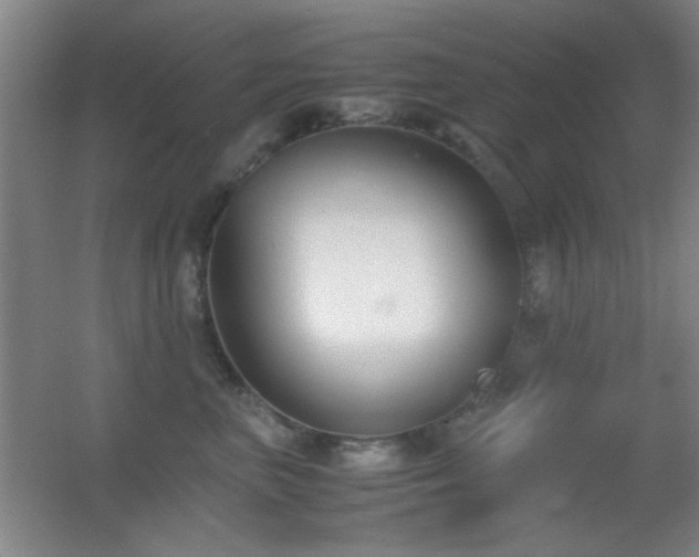 X0000055510667200508121018