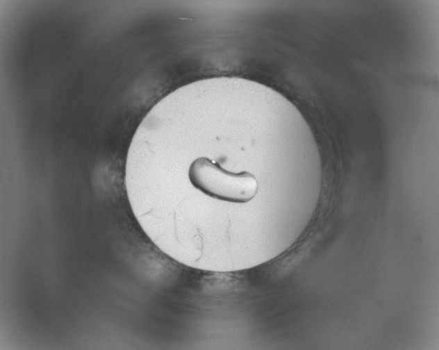 X0000055510672200508121018