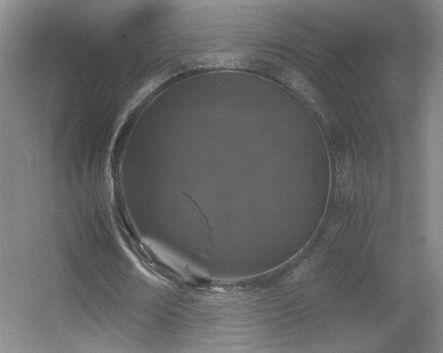 X0000055510674200508121018