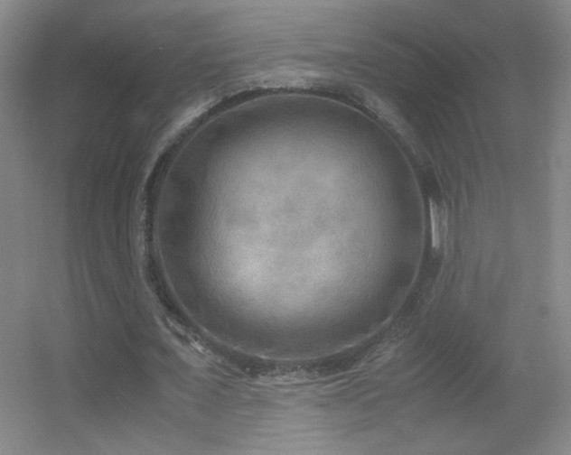 X0000055510675200508121018