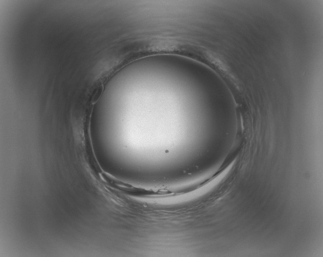 X0000055510681200508121018