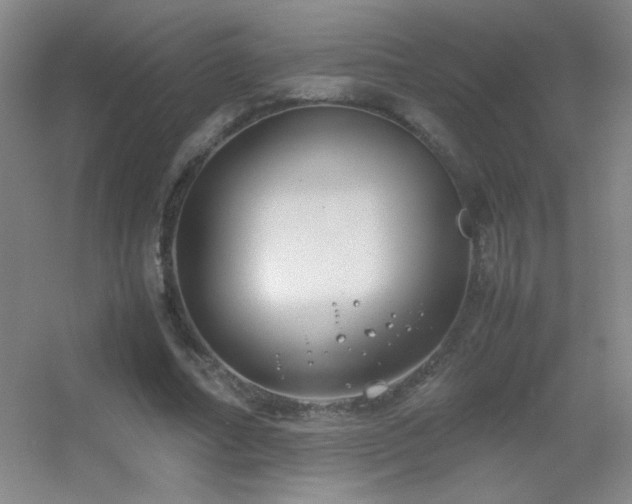 X0000055510682200508121017