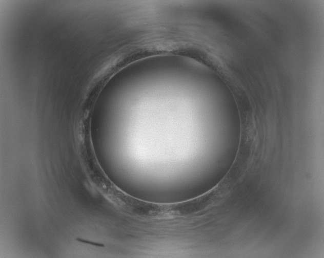 X0000055510683200508121017