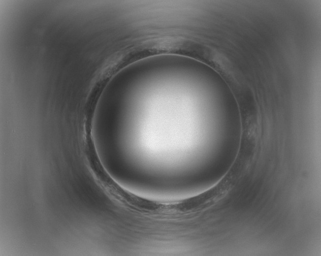 X0000055510685200508121017