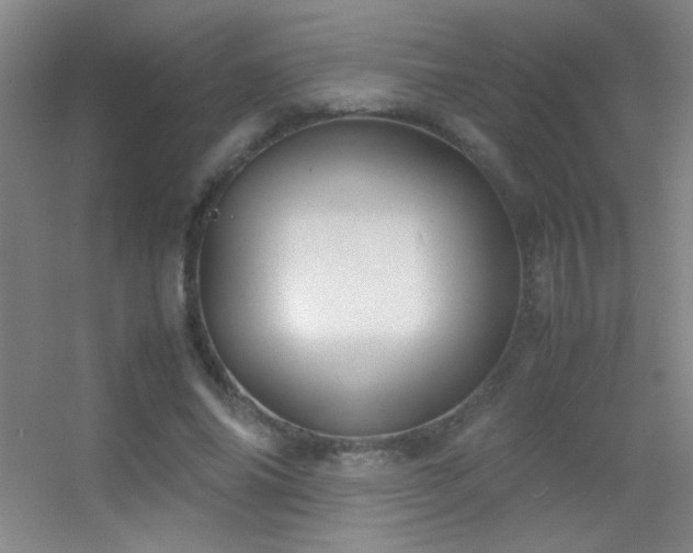 X0000055510686200508121017