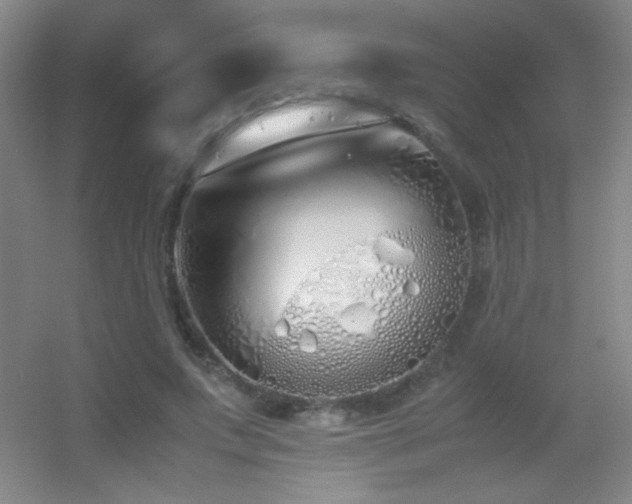 X0000055510687200508121017